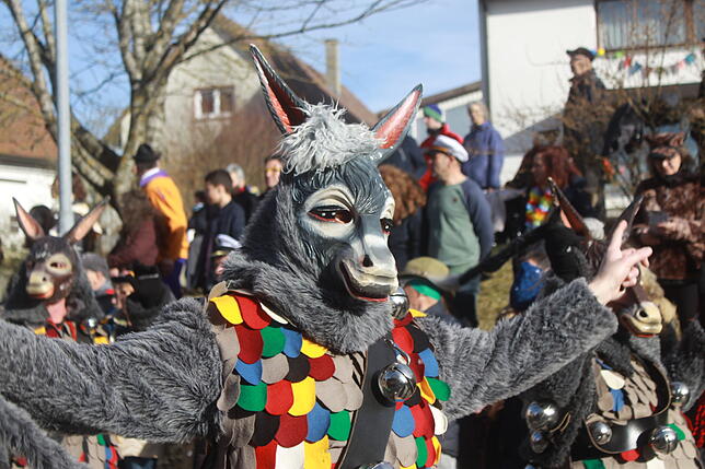 Bild 16: Bilder vom Narrentreffen zum 40. Jubiläum der Kuhsattler aus Hohenfels