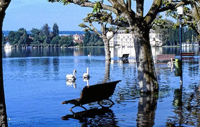Bild 24: Archivbilder vom Hochwasser 1999 in Konstanz!
