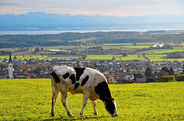 Eine Gruppe Markdorfer Landwirte befürchtet, dass der Bau einer Ortsumgehung nicht ohne Folgen für die Landwirtschaft und damit auch für ...