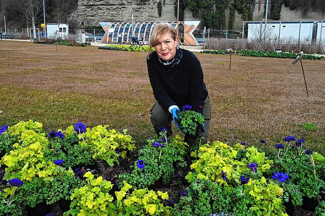 Landschaftsarchitektin Petra Pelz hat das Konzept für den Frühjahrs- und Sommerflor der Beete der Landesgartenschau erstellt.
