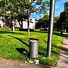 Dauerärger in den städtischen Grünanlagen wie hier an der Paradiesgasse. In diesem Fall haben Passanten die Technischen Dienste auf die ...