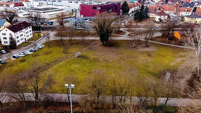 Auf dem Areal an der Hebelstraße neben dem Stadion möchte der Gemeinderat schon lange einen Platz für Kinderbetreuung schaffen. Nachdem ...