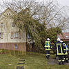 Der Sturm Sabine hat in der Nacht auf Montag einen Baum auf ein Haus an der Donaueschinger Straße geworfen. Die Feuerwehr räumt ihn ...