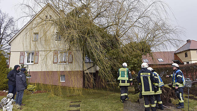 Der Sturm Sabine hat in der Nacht auf Montag einen Baum auf ein Haus an der Donaueschinger Straße geworfen. Die Feuerwehr räumt ihn ...