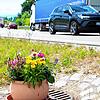 Bei einem Unfall am 4. Juni auf der B31 bei Überlingen kamen drei Personen ums Leben, drei weitere wurden schwer verletzt. Mit Blumen ...