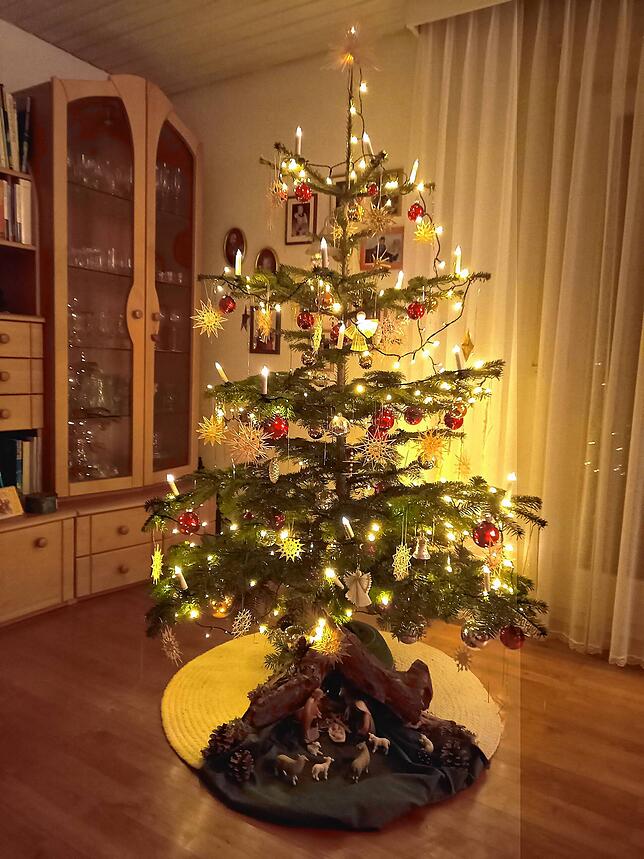 Stimmungsvoll beleuchtet ist dieser Baum von Familie Bucher in Lauchringen.