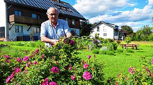 Erich Boll gibt seine Erfahrung mit Rosen gerne weiter. Die verblühten Rosen, die er abschneidet, haben noch eine Aufgabe: Sie werden ...