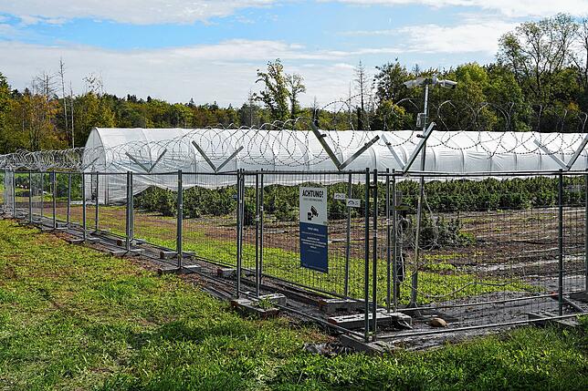 Hochsicherheitsfeld: Kameras, Bewegungsmelder, Zaun und Stacheldraht &ndash; hier geht niemand unbemerkt ein oder aus.