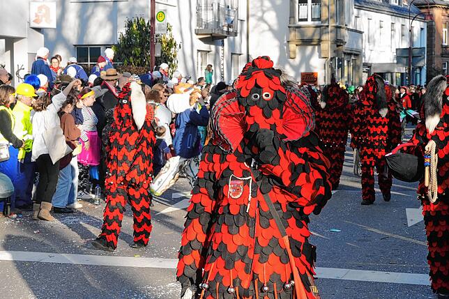 Bild 12: Tausende Narren ziehen beim Fasnet-Umzug durch die Stadt