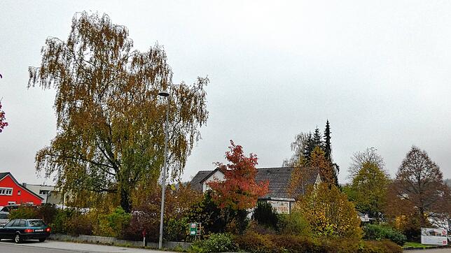 Ein Bio-Lebensmittelladen und ein Motel sollen auf dem Melzer-Areal in Jestetten entstehen.