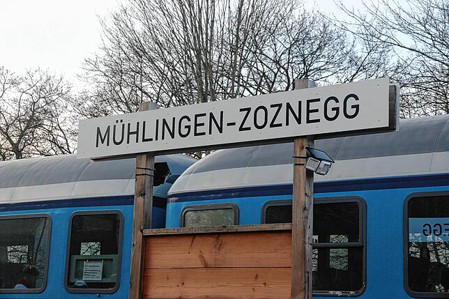 Bild 21: Die besten Bilder von den Mühlinger Narrentagen