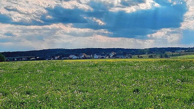Obwohl die potenzielle Abbaufläche im aktuellen Regionalplan nicht mehr ausgewiesen ist, will die Glashütter Naturweiß GbR die 2022 ...