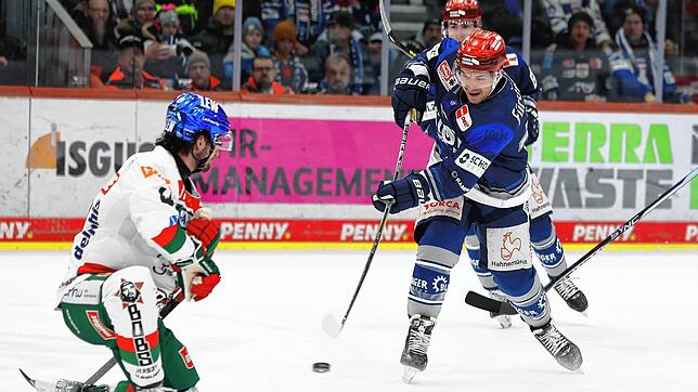 Matt Puempel fehlte den Wild Wings aufgrund einer Gehirnerschütterung mehrere Wochen. Gegen Mannheim ist er wieder einsatzfähig.