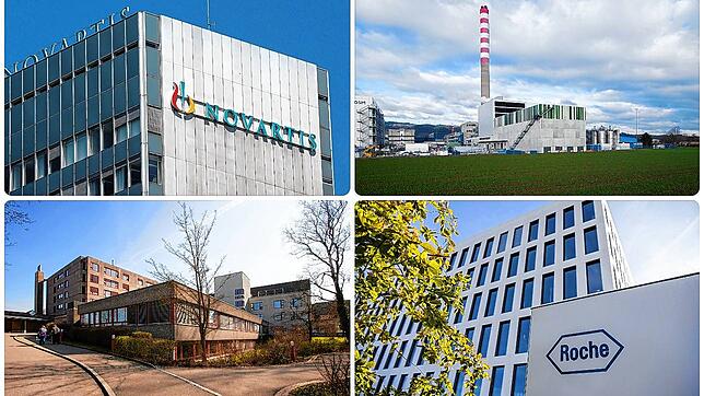 Diese Schweizer Unternehmen beschäftigen viele Grenzgänger aus Deutschland. Im Uhrzeigersinn von links oben: Novartis, DSM, das ...