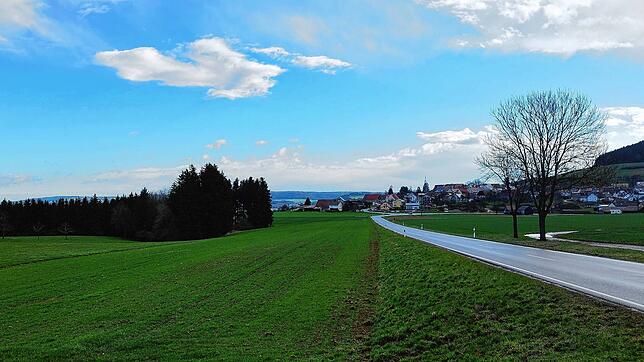 Vor dem Ortseingang von Fürstenberg darf ein Betreiber jetzt einen Mobilfunkmasten errichten, der die Bäume überragt. Unser Bild stammt ...