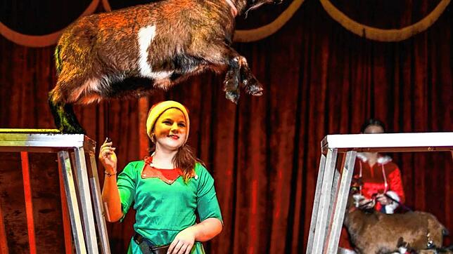 Putzige Grüße aus der Schweiz: Loreen Frank und ihre Bergziegen gehören zu den Stars des Weihnachtszirkus.