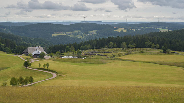 Auf dem U(h)rwaldpfad Rohrhardsberg gibt es alles zu erleben, was den typischen Schwarzwald ausmacht. Saftige Wiesen und Weiden, ...