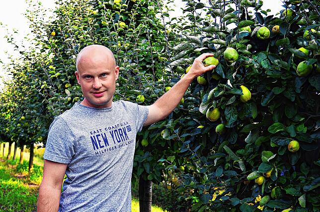 Brenner und Winzer Ralf Löhle inmitten seiner Quittenplantagen. Neben dem eigentlichen Brennen macht auch die Ernte einen Großteil ...