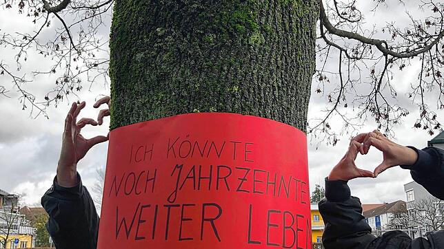 Die Initiative &bdquo;Bürger für Bäume&ldquo; (&bdquo;Büfübä&ldquo;) will die Bevölkerung mit roten Spruchbändern auf die Bäume ...
