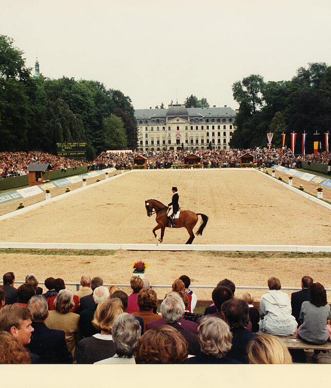 Traumhafte Kulisse: die Dressur vor dem Donaueschinger Schloss.