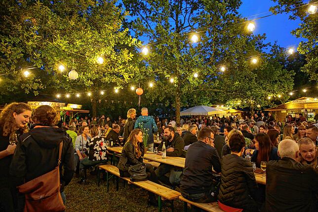 2019 fand das bisher erste und letzte Weinfest in Singen statt. Jetzt kehrt die Veranstaltung wieder unter den Hohentwiel zurück.