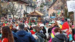 Bild : Die schönsten Bilder vom Höri-Umzug 2025 in Schienen