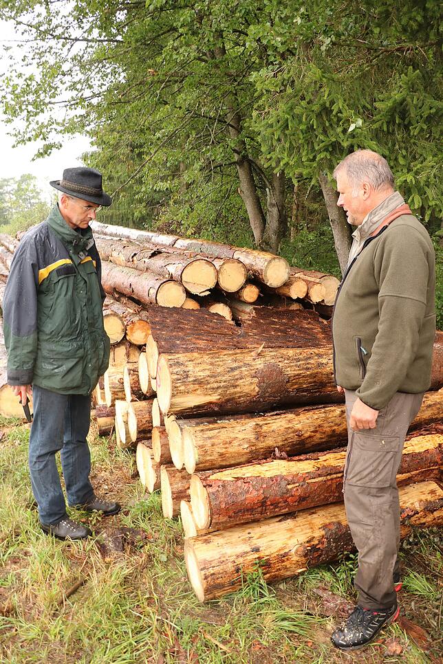 Frieder Dinkelaker (links) und Manfred Fünfgeld betrachen Fichtenstämme. Das Käferholz ist erst Tage zuvor aus dem Wald gezogen worden.