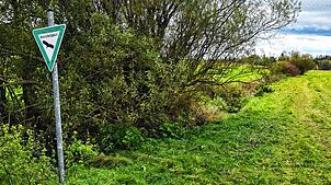 Unscheinbar windet sich der Krebsgraben bei Mönchweiler in Richtung Mönchsee. Er gehört zu den Maßnahmen des Naturschutzgroßprojektes ...