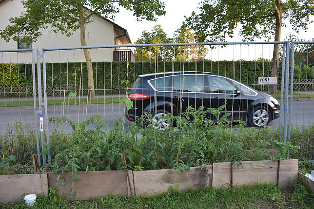 Am Bauzaun, der das Containerdorf zur Schlossseeallee hin abgrenzt, ranken die Tomatenpflanzen empor. Im Kasten wurde Schnittgut und ...