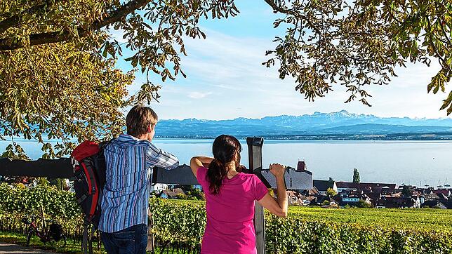 Herrlicher Aussichtspunkt in den Weinbergen.