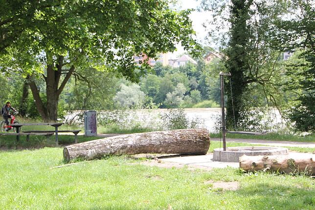 Der Grillplatz am Rhein, nahe der Bad Säckinger Innenstadt.