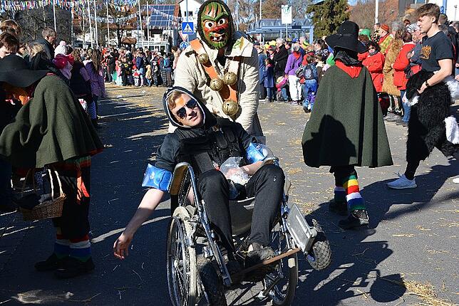 Bild 11: Bilder vom Narrentreffen der Urviecher-Zunft Bad Dürrheim: Großer Festumzug (2)
