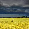 Gewitterwolken ziehen über einem Feld auf (Symbolbild). In Deutschland sollen heute laut Wetterbericht zum Teil starke Gewitter zu ...