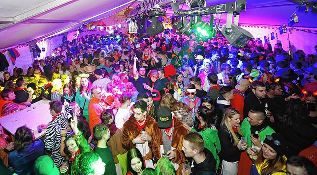 Bild 37: Bilder des Narrentreffens in Donaueschingen Pfohren (2)