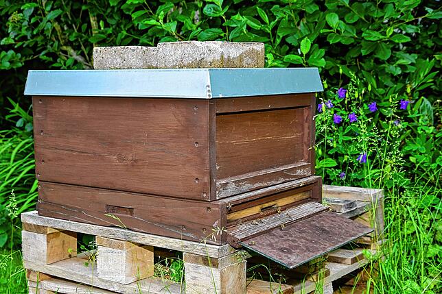 Zwei solcher Bienenkästen wurden Hobbyimker Andreas Keil aus St. Georgen jüngst gestohlen.