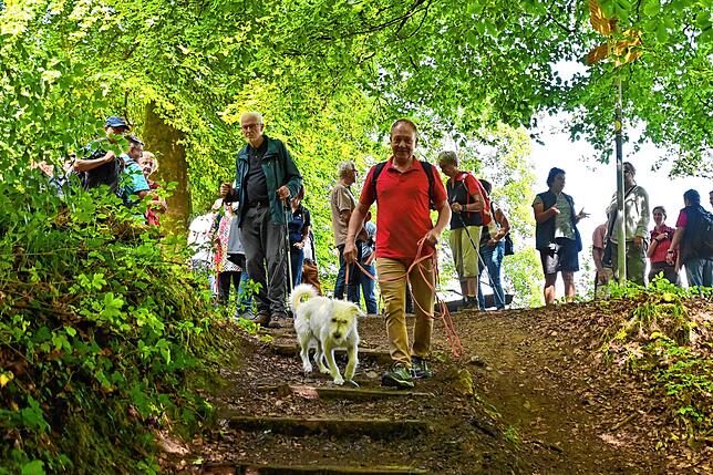 Bild 18: Wie läuft es sich von der Marienschlucht zum Burghof? Bilder einer Wanderung