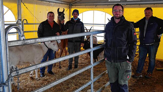 Die Lamas und Ziegen vom Circus Renz sind froh, wieder ein Dach über dem Kopf zu haben. Darüber freuen sich (von links): Johann und ...