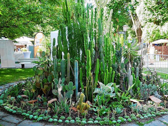 Bild 21: Die schönsten Bilder von der DIGA-Gartenmesse im Bad Säckinger Schlosspark