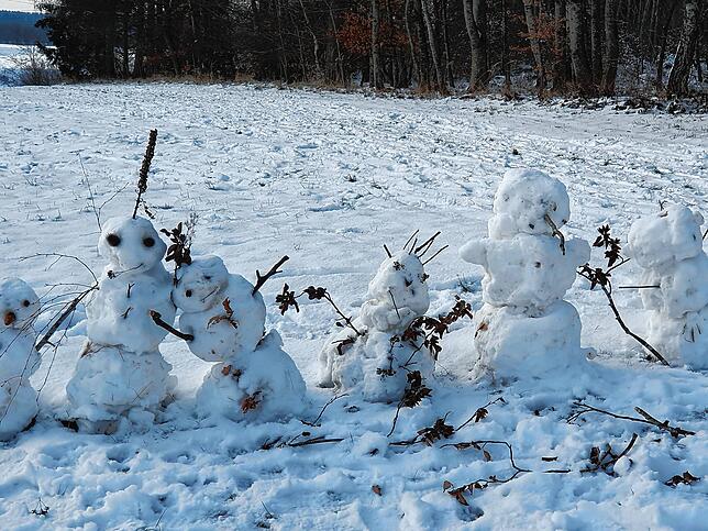 Bild 6: Schneefall in Pfullendorf: Es hört gar nicht mehr auf