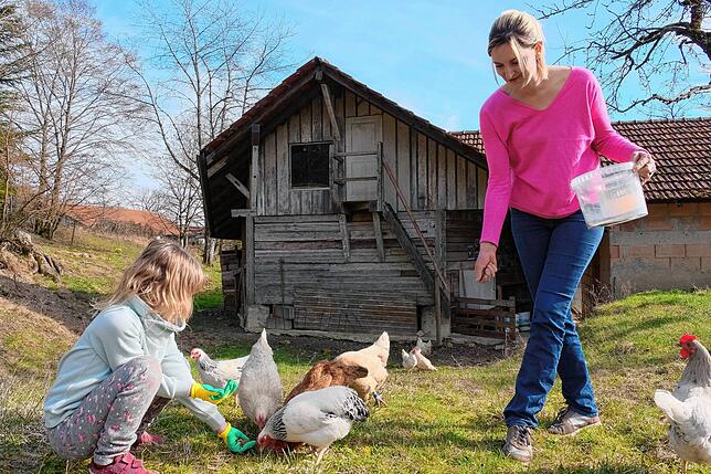 Mmm, lecker: Mehlwürmer sind für die Hühner das Größte. Mutter Ava Wolf füttert die Tiere gemeinsam mit der kleinen Leah.