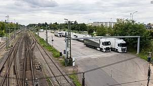 Der Freiburger Güterbahnhof gilt als ein Hotspot für Japankäfer.