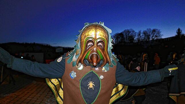 Bild 4: Zunftmeisterempfang und Dämmerungsumzug der Narrenzunft Untersigginger Füchse (1/2)