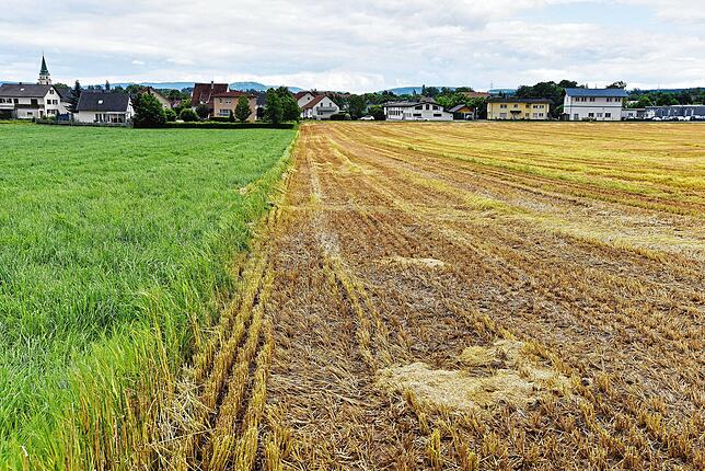 Ein offenes Gelände an der Hochstraße in Hüfingen gelegen. In der Umgebung könnte das neue Einsatztrainingszentrum entstehen.
