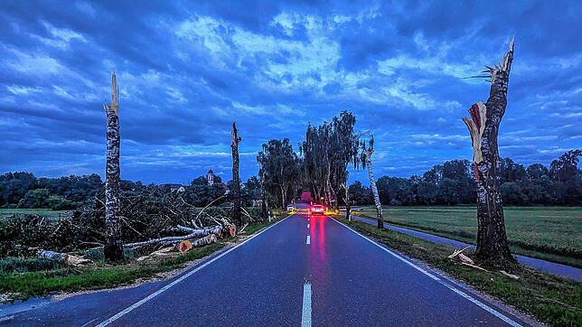 Abgeknickte Bäume in Ulm nach dem Unwetter: Der Deutsche Wetterdienst prüft, ob ein Tornado durchgezogen war.