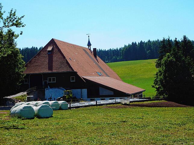 Der Fallerhof im Spätsommer.
