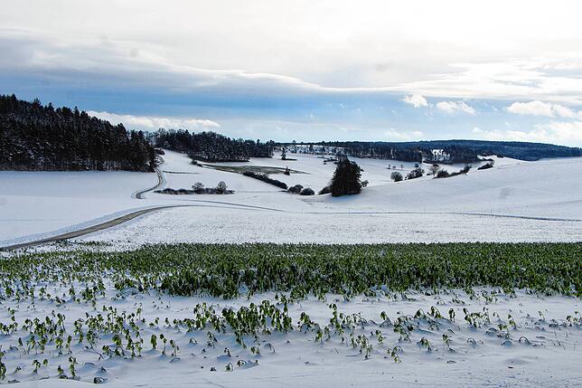 Bild 6: Der Winter hat zugeschlagen Teil 2