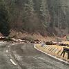 Ein Erdrutsch hat am Montagmittag die L&nbsp;149 zwischen St. Blasien und Menzenschwander Brücke blockiert. Bild: Feuerwehr St. Blasien