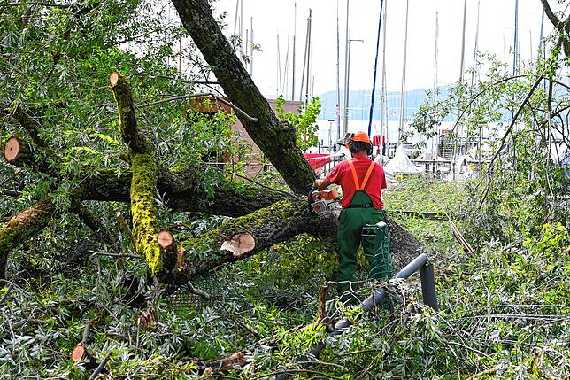 Bild 10: Bilder von den Einsätzen und massiven Schäden nach dem Unwetter in Bodman-Ludwigshafen