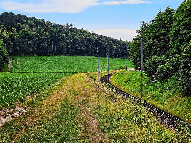 Die einspurige Strecke der SBB im Rafzer Feld, direkt hinter der Grenze.