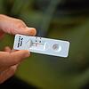 Ein negativer Schnelltest auf das Coronavirus Sars-CoV-2. Seit dem Wegfall der Bürgertestungen ist es schwieriger geworden, ein ...
